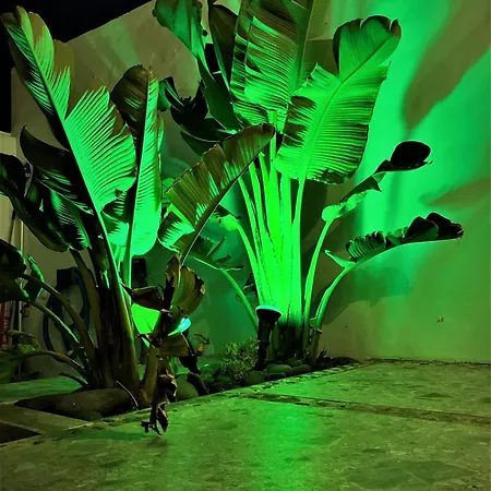 Luxury Rincon Del Mar- Old Town - Willa *