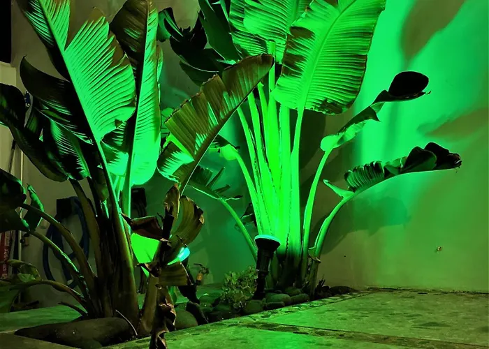 Luxury Rincon Del Mar- Old Town - Villa *